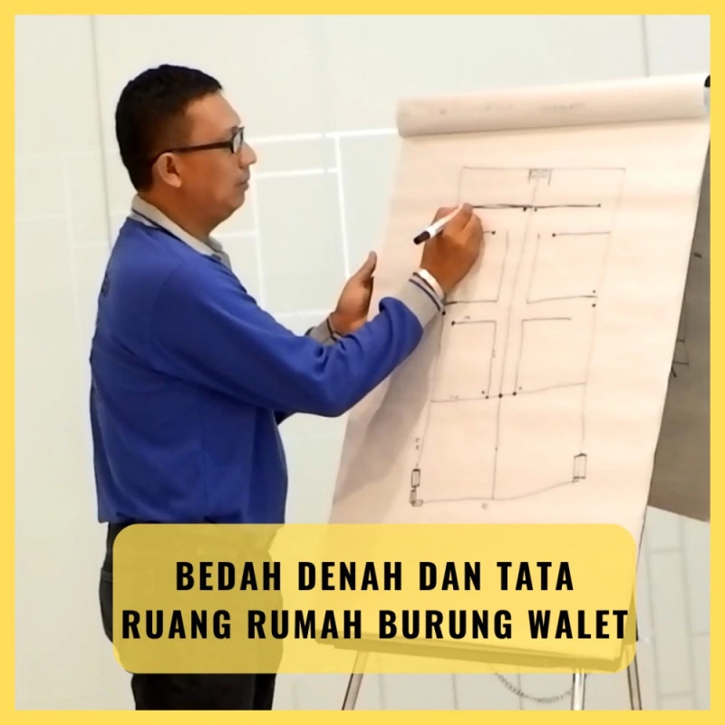 Kelebihan Pelatihan Walet